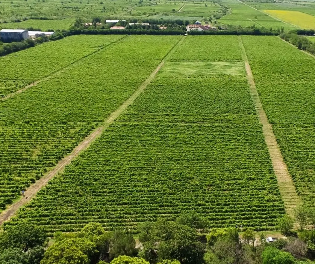 70 Km de Vie Roditoare