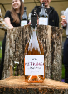 Pietroasa 12